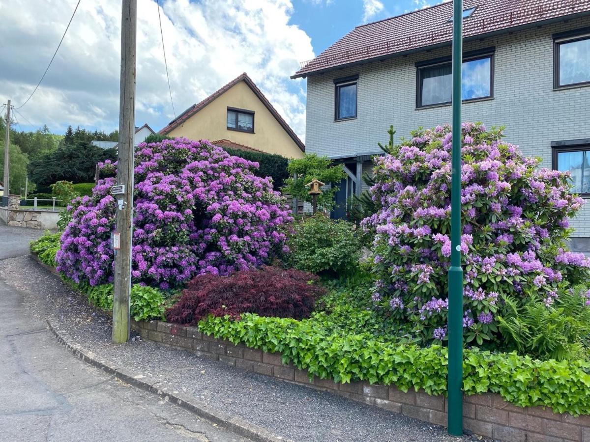Apartment In Waltershausen Exterior photo